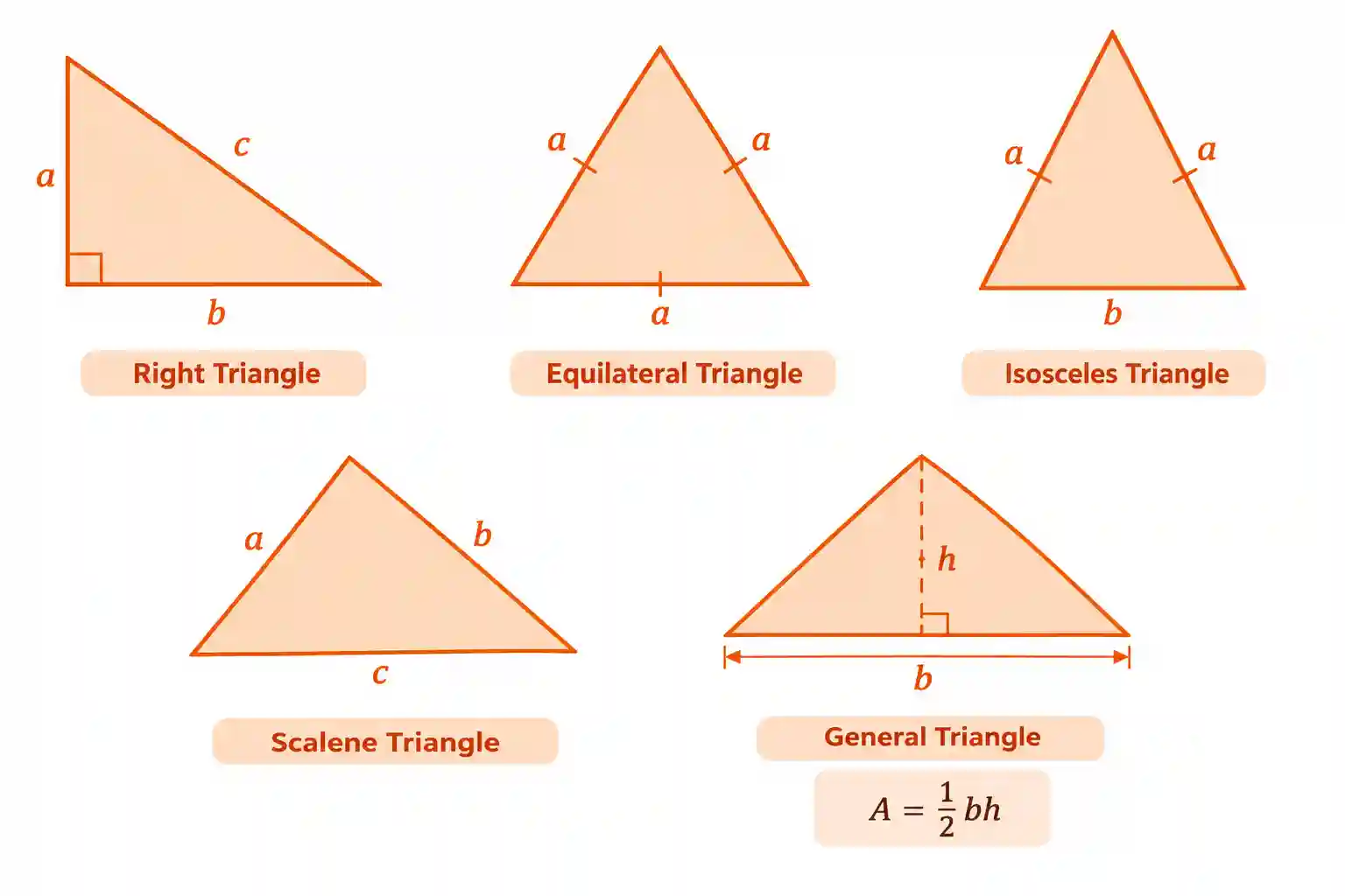 triangle-types-area-diagram Right, equilateral, isosceles, and scalene triangle diagrams with base and perpendicular height labeled.